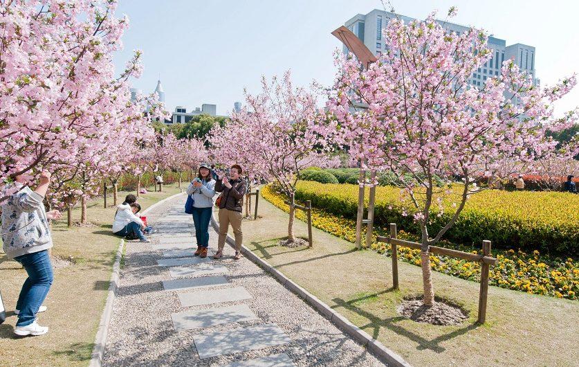 China lifts ban on group travel to more than 70 locations, gives boost to travel stocks