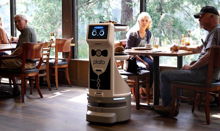 Fox News Artificial Intelligence Newsletter: Restaurant robot backlash, AI regulation