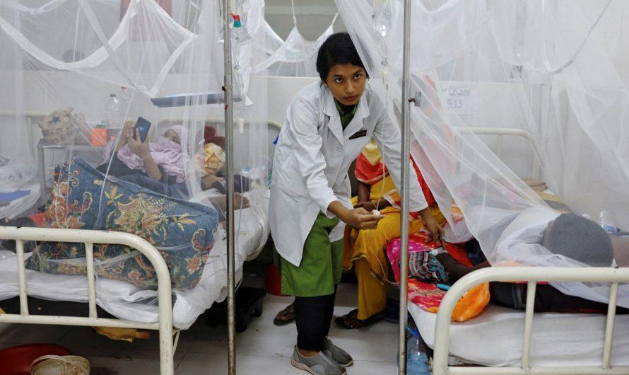 Bangladesh faces deadliest dengue outbreak on record with over 1,000 deaths