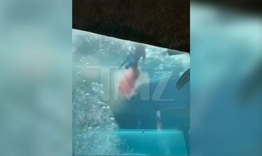 Video shows moments after boy, 10, attacked by shark during tank expedition at Bahamas resort
