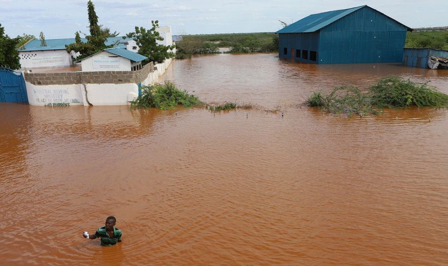 From Zambia to Afghanistan, WFP warns El Niño’s extreme weather is causing a surge in hunger