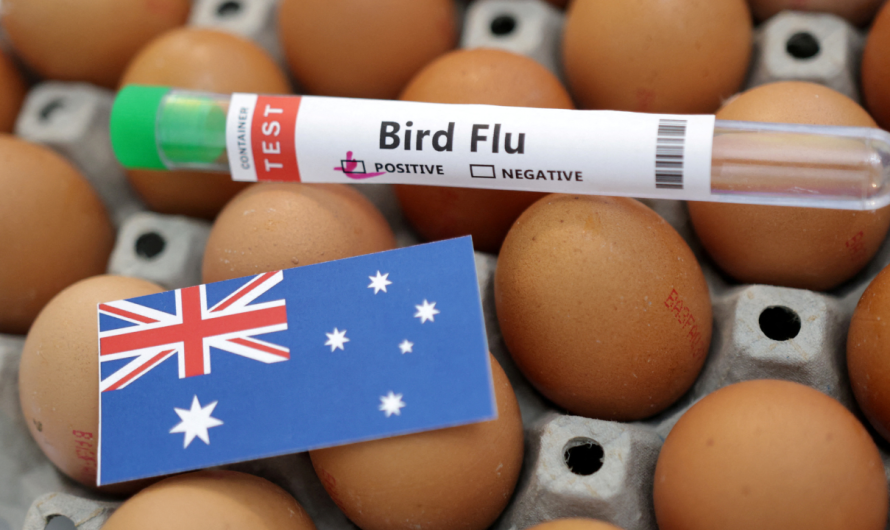 Australia reports new bird flu case at poultry farm as global concerns rise