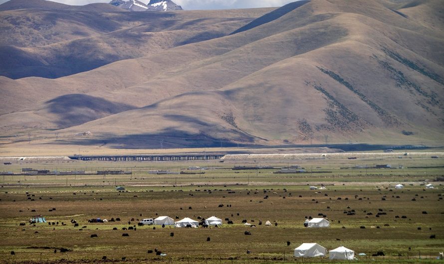 Report says China is accelerating the forced urbanization of rural Tibetans