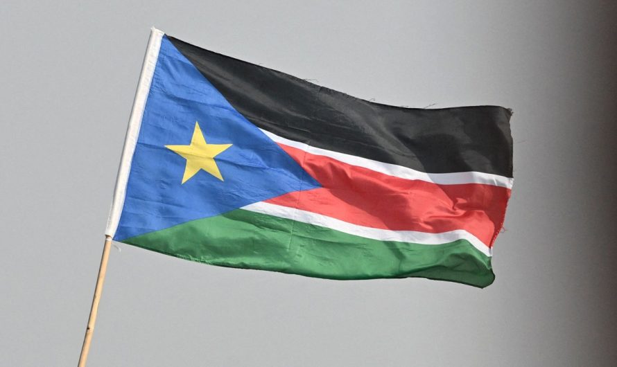 EU denies intent to delay South Sudan elections