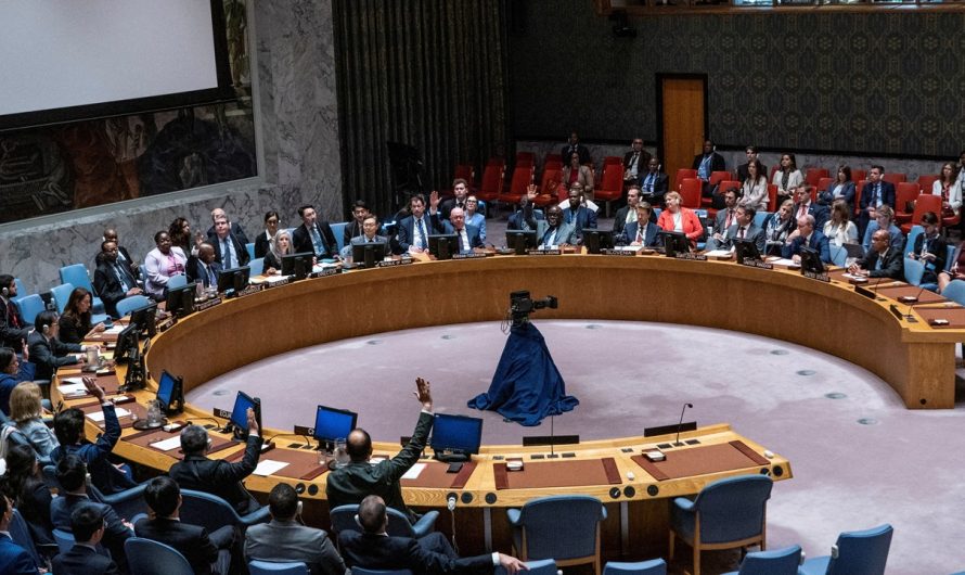 5 countries elected to serve term on UN Security Council