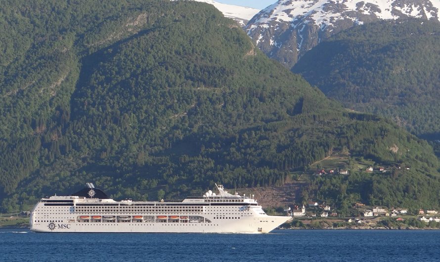 Cruise passenger falls overboard while ship sails through fjord: officials