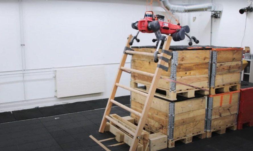 Quadruped robot climbs ladders, creeps us out