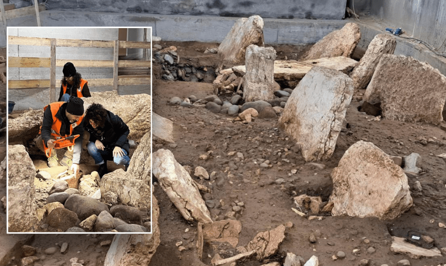 Archaeologists uncover ancient ‘city of the dead’ in Italy: ‘Perfectly preserved’