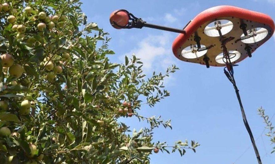 Robotic and drone tech make fruit picking and handling easier