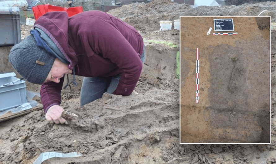 Ancient settlement reveals remains of 1,800-year-old dog, baffling experts: ‘Preserved quite well’