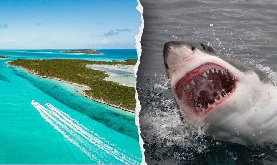 Travel warning issued for popular tropical destination over crime concerns, sharks