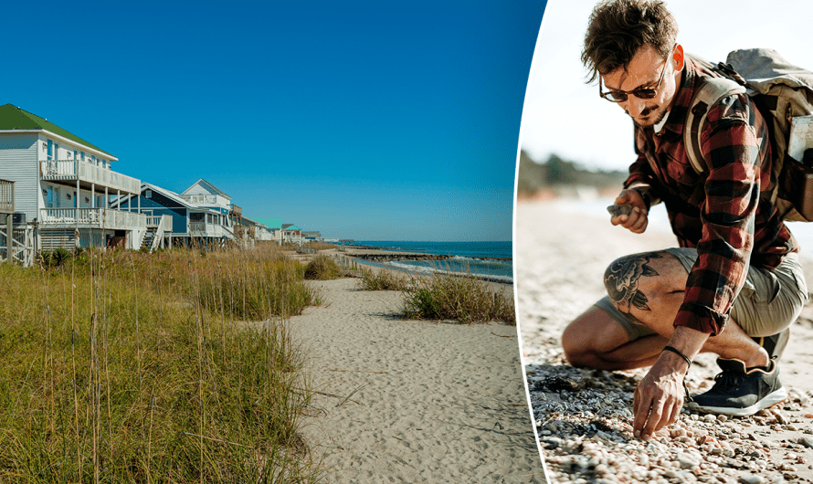 Tourists make ‘historically significant’ discovery while exploring South Carolina beach