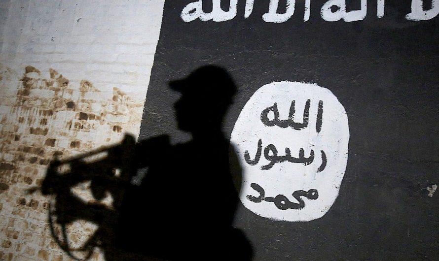 ISIS poised to exploit historic US Iraq exit, terror group ‘actively waiting in the gaps,’ expert warns