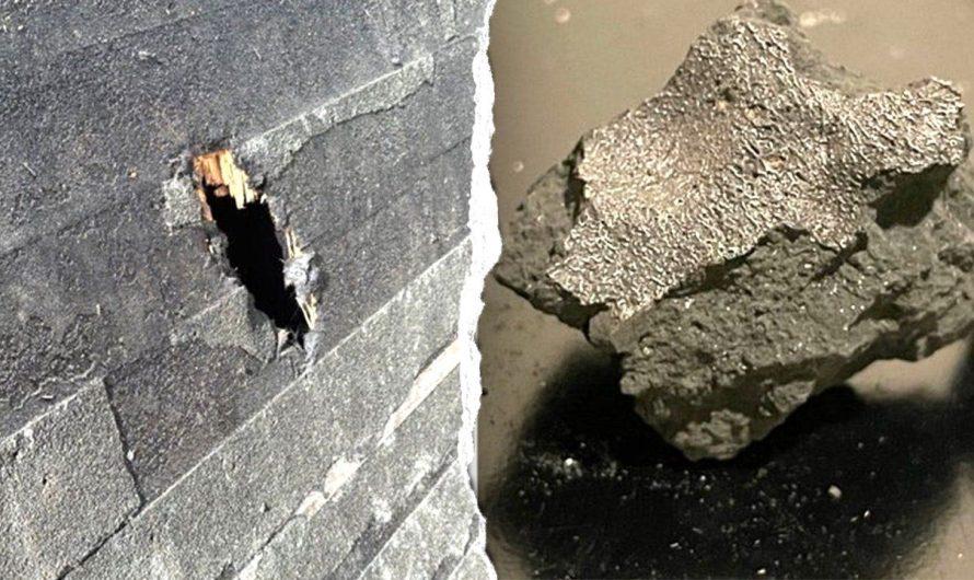Meteorite that crashed into NJ home holds building blocks of life, scientists say