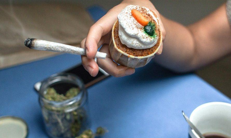 Cannabis cafes may become tourist draw in US city as lung experts cite ‘toxic chemical’ concerns